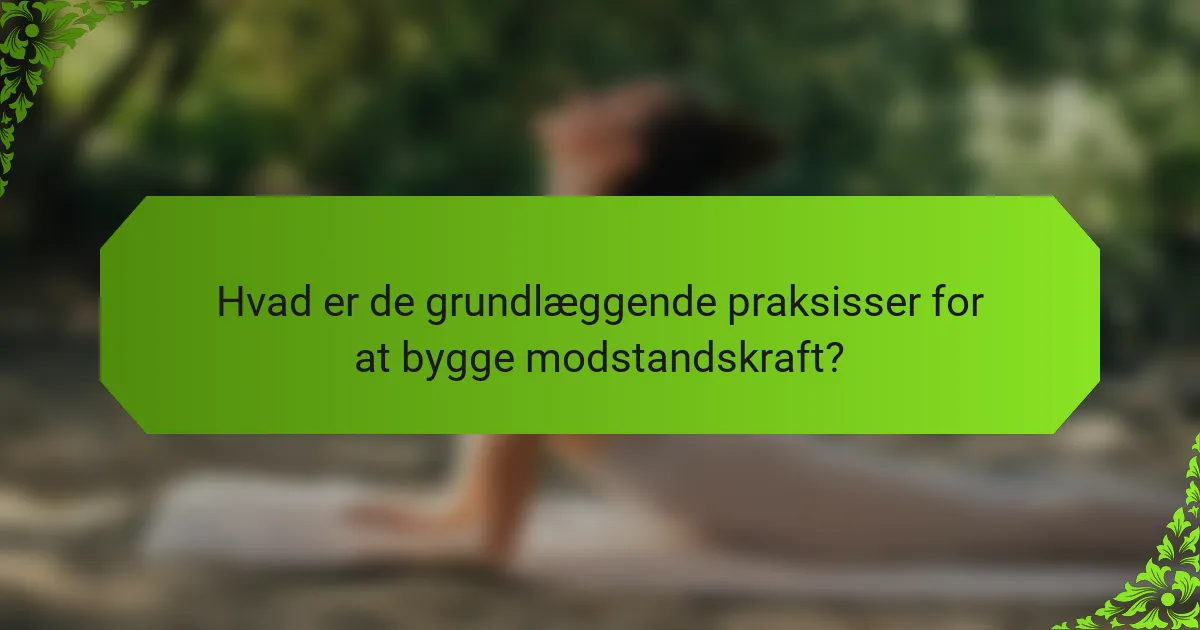 Hvad er de grundlæggende praksisser for at bygge modstandskraft?