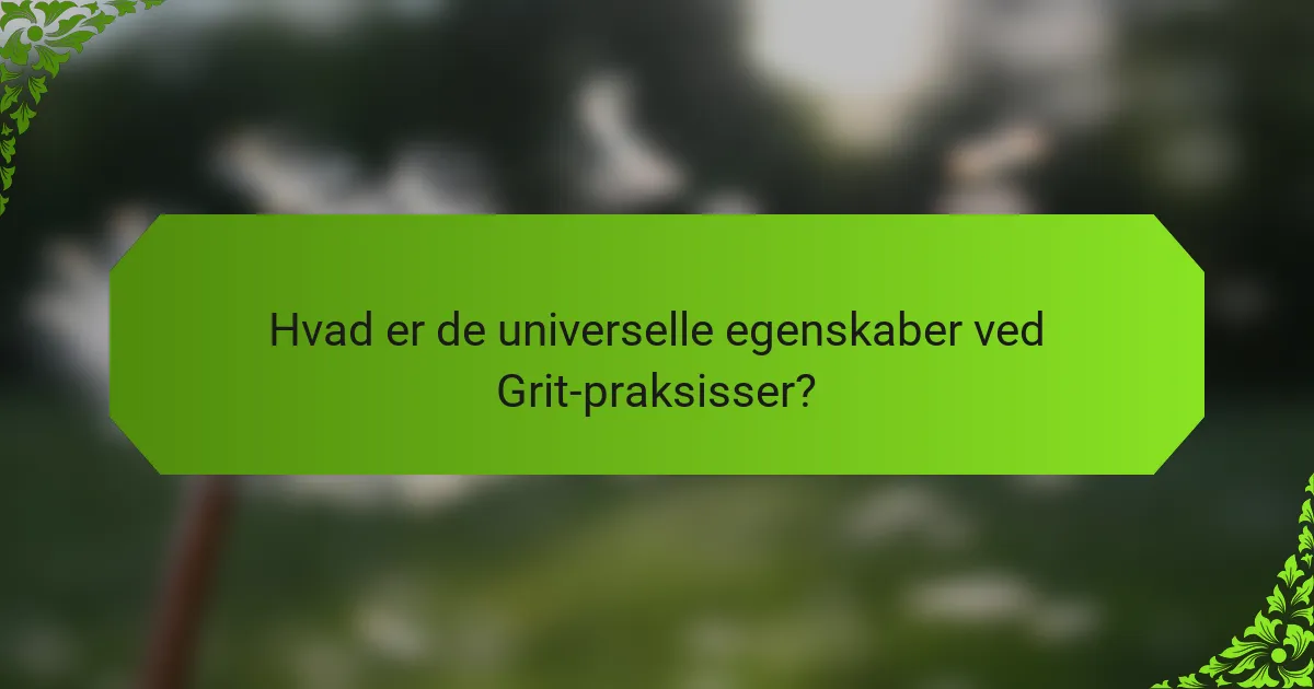 Hvad er de universelle egenskaber ved Grit-praksisser?