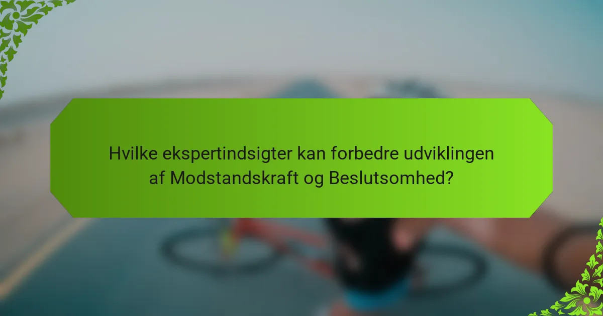 Hvilke ekspertindsigter kan forbedre udviklingen af Modstandskraft og Beslutsomhed?